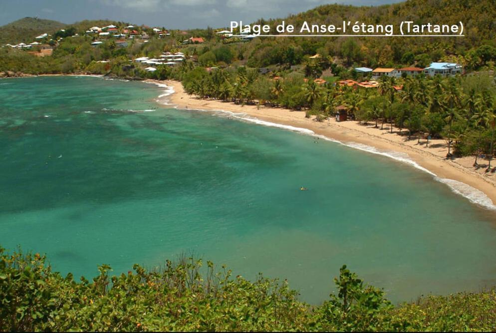 F3 Hibiscus - Piscine Chauffee - Vue Mer - 9 Min De La Plage - Ti Zwezo Paradi La Trinite Bagian luar foto