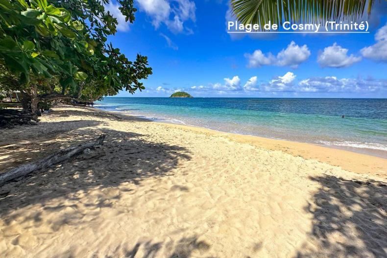 F3 Hibiscus - Piscine Chauffee - Vue Mer - 9 Min De La Plage - Ti Zwezo Paradi La Trinite Bagian luar foto