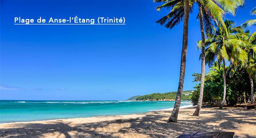 F3 Hibiscus - Piscine Chauffee - Vue Mer - 9 Min De La Plage - Ti Zwezo Paradi La Trinite Bagian luar foto