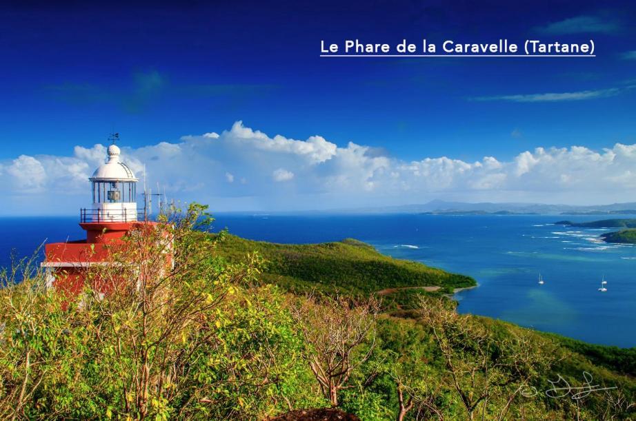 F3 Hibiscus - Piscine Chauffee - Vue Mer - 9 Min De La Plage - Ti Zwezo Paradi La Trinite Bagian luar foto