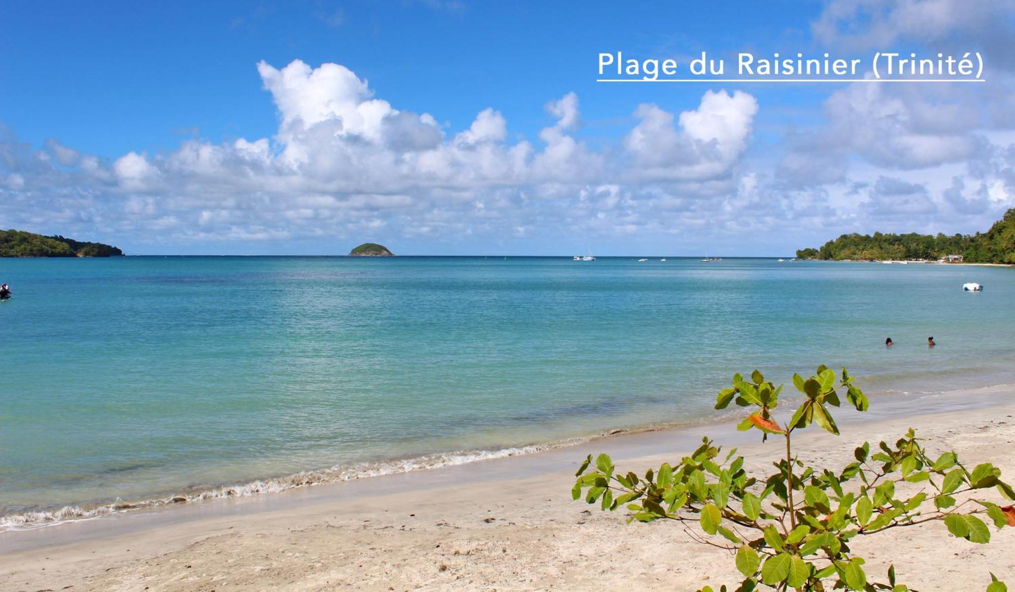 F3 Hibiscus - Piscine Chauffee - Vue Mer - 9 Min De La Plage - Ti Zwezo Paradi La Trinite Bagian luar foto